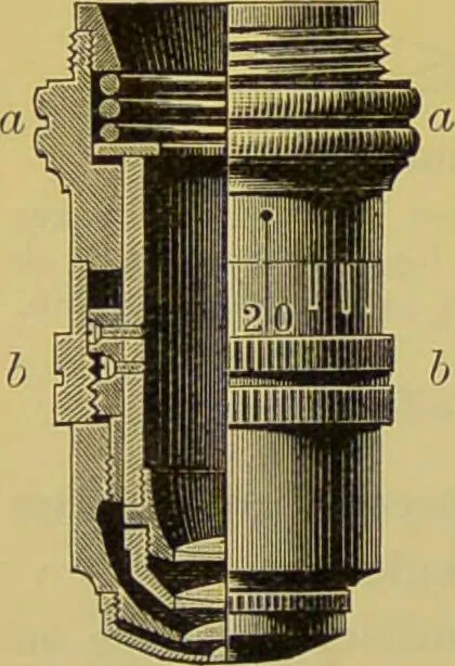 An illustration from The microscope : its history, construction, and application, being a familiar introduction to the use of the instrument, and the study of microscopical science / by Jabez Hogg., 1898, leaf 188