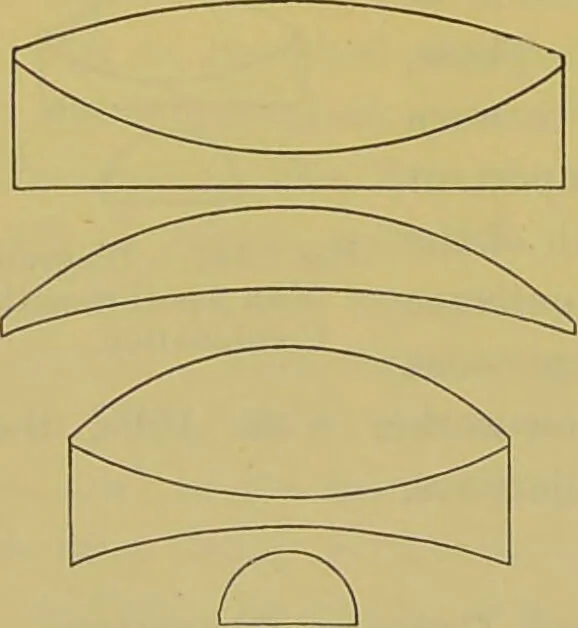An illustration from The microscope : its history, construction, and application, being a familiar introduction to the use of the instrument, and the study of microscopical science / by Jabez Hogg., 1898, leaf 192