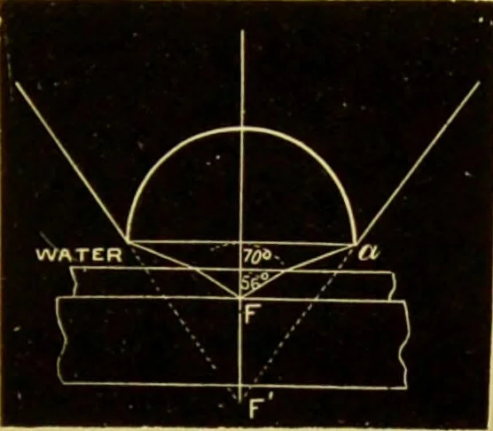 An illustration from The microscope : its history, construction, and application, being a familiar introduction to the use of the instrument, and the study of microscopical science / by Jabez Hogg., 1898, leaf 195