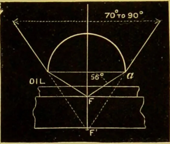 An illustration from The microscope : its history, construction, and application, being a familiar introduction to the use of the instrument, and the study of microscopical science / by Jabez Hogg., 1898, leaf 195