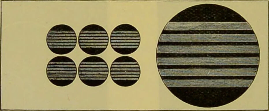 An illustration from The microscope : its history, construction, and application, being a familiar introduction to the use of the instrument, and the study of microscopical science / by Jabez Hogg., 1898, leaf 196
