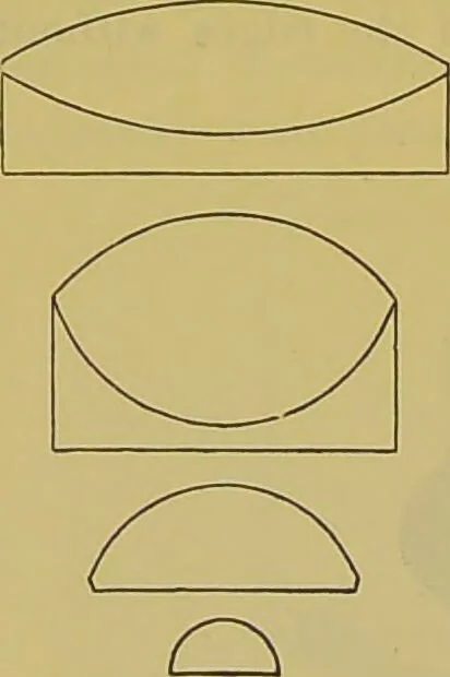 An illustration from The microscope : its history, construction, and application, being a familiar introduction to the use of the instrument, and the study of microscopical science / by Jabez Hogg., 1898, leaf 198