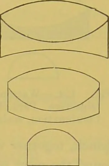 An illustration from The microscope : its history, construction, and application, being a familiar introduction to the use of the instrument, and the study of microscopical science / by Jabez Hogg., 1898, leaf 199