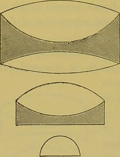 An illustration from The microscope : its history, construction, and application, being a familiar introduction to the use of the instrument, and the study of microscopical science / by Jabez Hogg., 1898, leaf 200