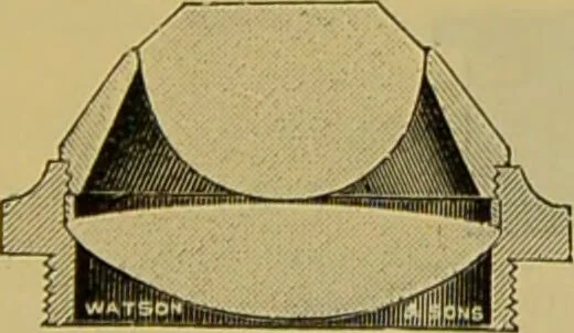 An illustration from The microscope : its history, construction, and application, being a familiar introduction to the use of the instrument, and the study of microscopical science / by Jabez Hogg., 1898, leaf 209