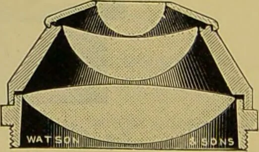 An illustration from The microscope : its history, construction, and application, being a familiar introduction to the use of the instrument, and the study of microscopical science / by Jabez Hogg., 1898, leaf 209
