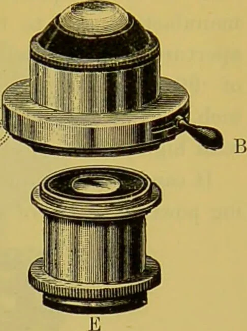 An illustration from The microscope : its history, construction, and application, being a familiar introduction to the use of the instrument, and the study of microscopical science / by Jabez Hogg., 1898, leaf 213