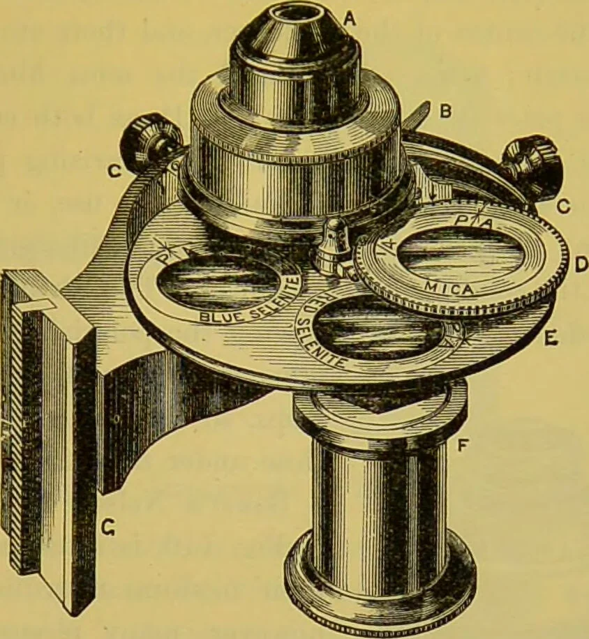 An illustration from The microscope : its history, construction, and application, being a familiar introduction to the use of the instrument, and the study of microscopical science / by Jabez Hogg., 1898, leaf 215