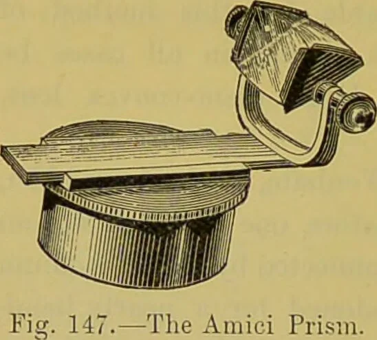 An illustration from The microscope : its history, construction, and application, being a familiar introduction to the use of the instrument, and the study of microscopical science / by Jabez Hogg., 1898, leaf 222