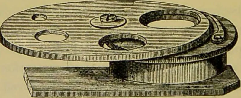 An illustration from The microscope : its history, construction, and application, being a familiar introduction to the use of the instrument, and the study of microscopical science / by Jabez Hogg., 1898, leaf 226