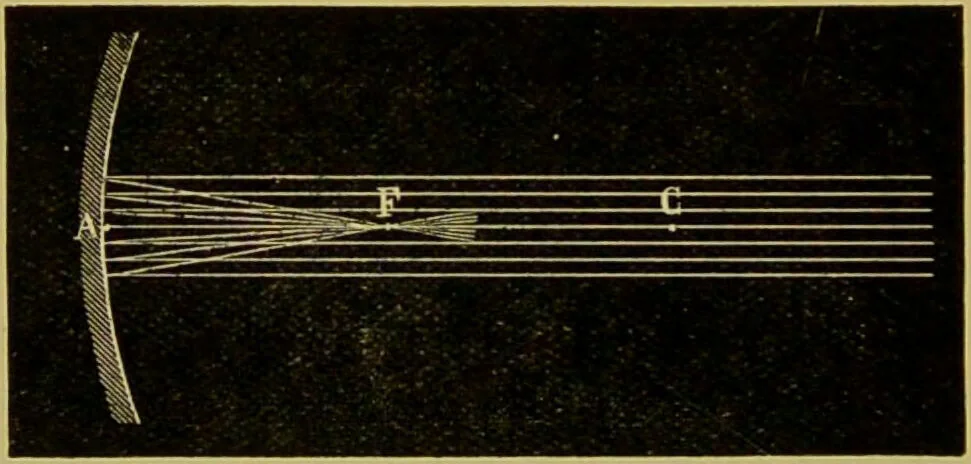An illustration from The microscope : its history, construction, and application, being a familiar introduction to the use of the instrument, and the study of microscopical science / by Jabez Hogg., 1898, leaf 228
