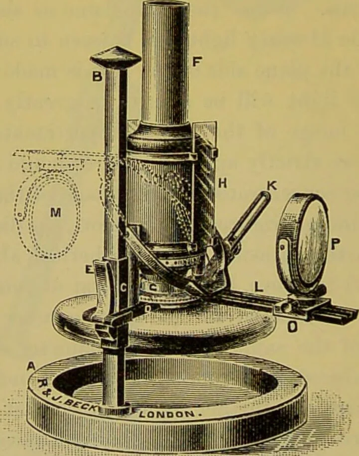 An illustration from The microscope : its history, construction, and application, being a familiar introduction to the use of the instrument, and the study of microscopical science / by Jabez Hogg., 1898, leaf 234
