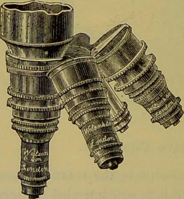 An illustration from The microscope : its history, construction, and application, being a familiar introduction to the use of the instrument, and the study of microscopical science / by Jabez Hogg., 1898, leaf 236