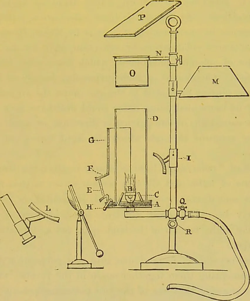 An illustration from The microscope : its history, construction, and application, being a familiar introduction to the use of the instrument, and the study of microscopical science / by Jabez Hogg., 1898, leaf 251