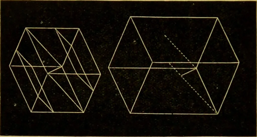An illustration from The microscope : its history, construction, and application, being a familiar introduction to the use of the instrument, and the study of microscopical science / by Jabez Hogg., 1898, leaf 256