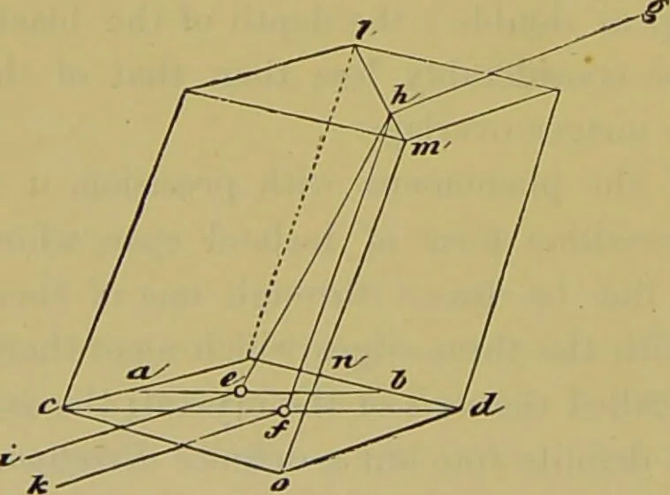 An illustration from The microscope : its history, construction, and application, being a familiar introduction to the use of the instrument, and the study of microscopical science / by Jabez Hogg., 1898, leaf 256