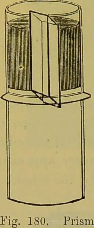 An illustration from The microscope : its history, construction, and application, being a familiar introduction to the use of the instrument, and the study of microscopical science / by Jabez Hogg., 1898, leaf 258