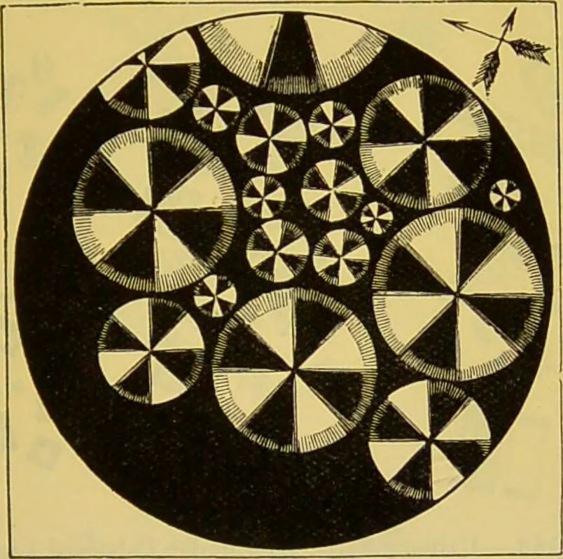 An illustration from The microscope : its history, construction, and application, being a familiar introduction to the use of the instrument, and the study of microscopical science / by Jabez Hogg., 1898, leaf 269