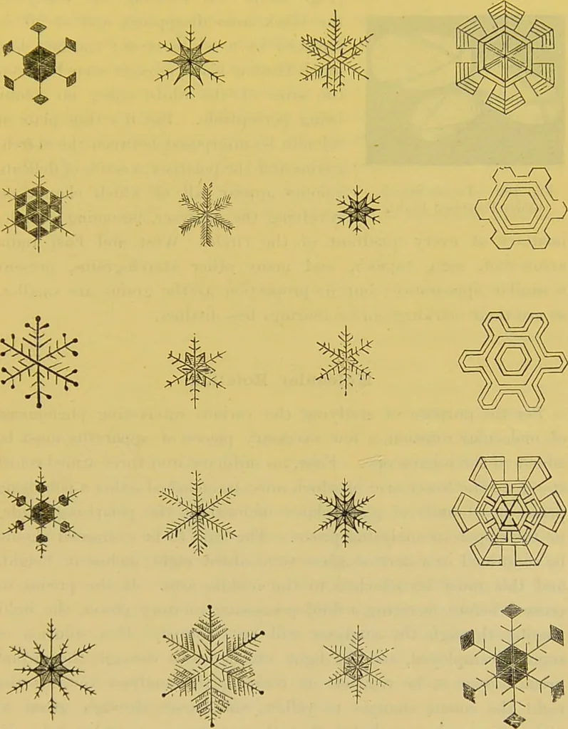 An illustration from The microscope : its history, construction, and application, being a familiar introduction to the use of the instrument, and the study of microscopical science / by Jabez Hogg., 1898, leaf 271