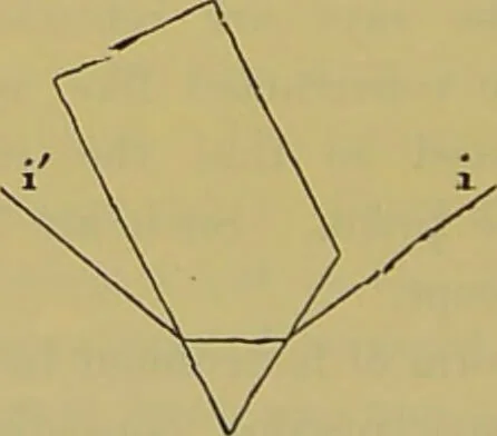 An illustration from The microscope : its history, construction, and application, being a familiar introduction to the use of the instrument, and the study of microscopical science / by Jabez Hogg., 1898, leaf 280