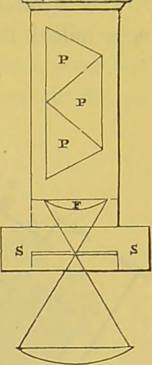 An illustration from The microscope : its history, construction, and application, being a familiar introduction to the use of the instrument, and the study of microscopical science / by Jabez Hogg., 1898, leaf 281