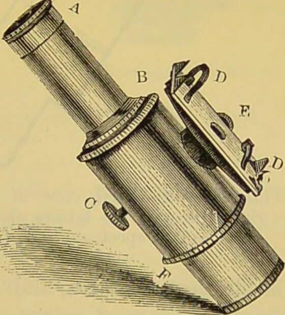 An illustration from The microscope : its history, construction, and application, being a familiar introduction to the use of the instrument, and the study of microscopical science / by Jabez Hogg., 1898, leaf 281