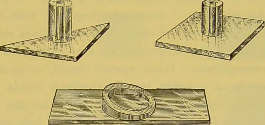 An illustration from The microscope : its history, construction, and application, being a familiar introduction to the use of the instrument, and the study of microscopical science / by Jabez Hogg., 1898, leaf 285