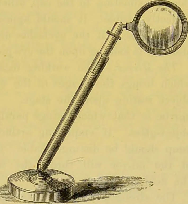 An illustration from The microscope : its history, construction, and application, being a familiar introduction to the use of the instrument, and the study of microscopical science / by Jabez Hogg., 1898, leaf 293