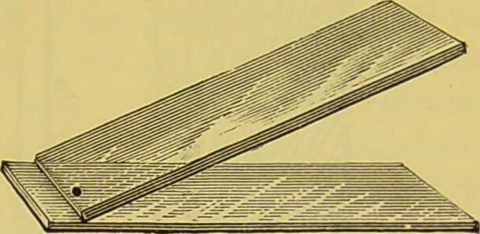 An illustration from The microscope : its history, construction, and application, being a familiar introduction to the use of the instrument, and the study of microscopical science / by Jabez Hogg., 1898, leaf 297