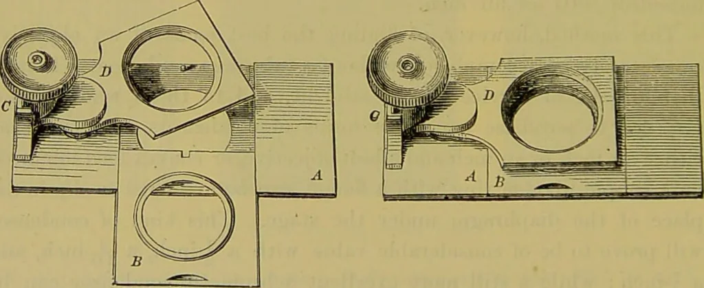 An illustration from The microscope : its history, construction, and application, being a familiar introduction to the use of the instrument, and the study of microscopical science / by Jabez Hogg., 1898, leaf 308