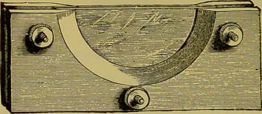 An illustration from The microscope : its history, construction, and application, being a familiar introduction to the use of the instrument, and the study of microscopical science / by Jabez Hogg., 1898, leaf 310