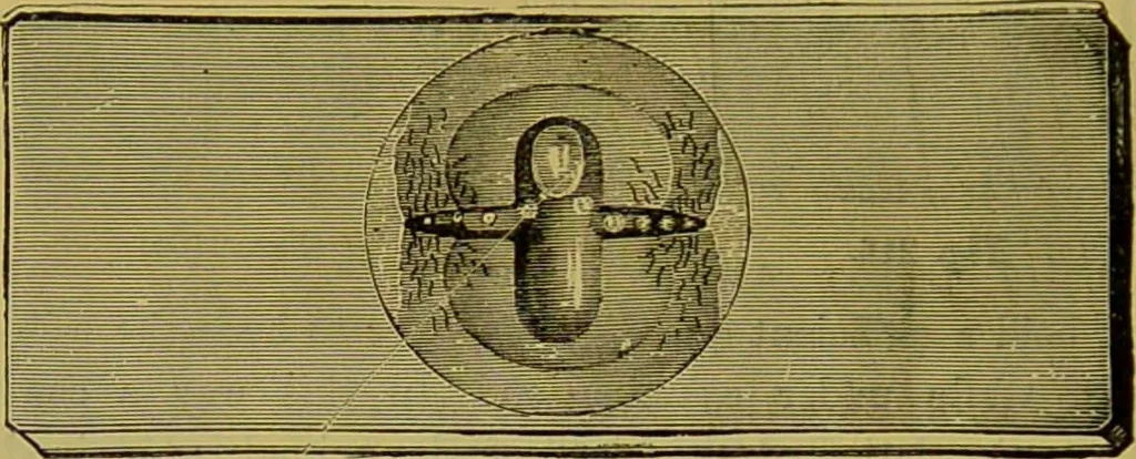 An illustration from The microscope : its history, construction, and application, being a familiar introduction to the use of the instrument, and the study of microscopical science / by Jabez Hogg., 1898, leaf 312