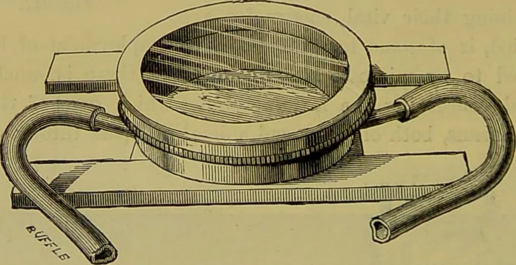 An illustration from The microscope : its history, construction, and application, being a familiar introduction to the use of the instrument, and the study of microscopical science / by Jabez Hogg., 1898, leaf 312