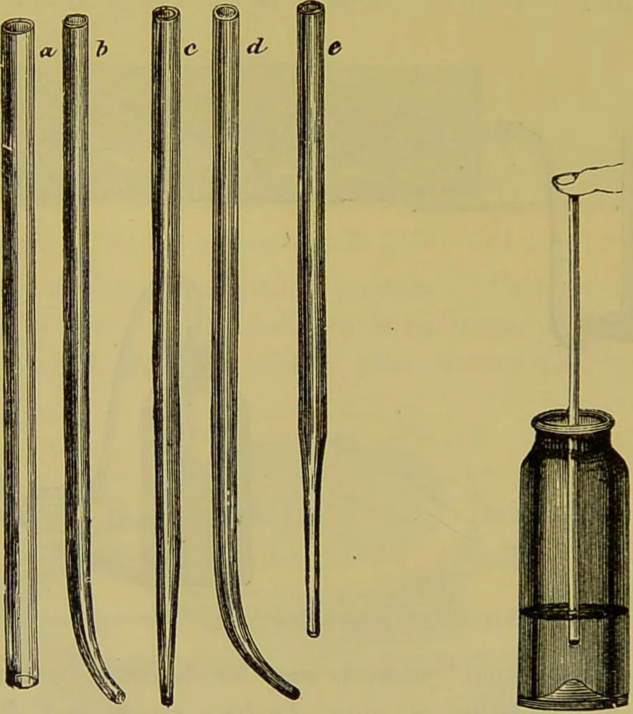 An illustration from The microscope : its history, construction, and application, being a familiar introduction to the use of the instrument, and the study of microscopical science / by Jabez Hogg., 1898, leaf 314