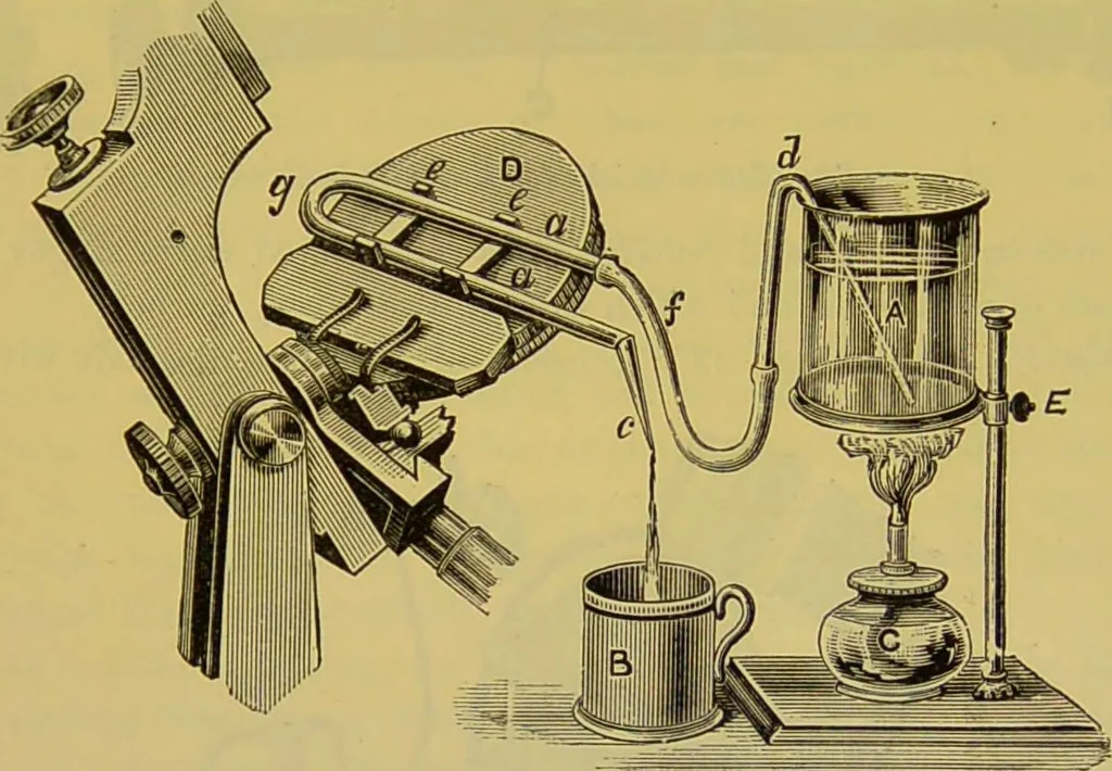 An illustration from The microscope : its history, construction, and application, being a familiar introduction to the use of the instrument, and the study of microscopical science / by Jabez Hogg., 1898, leaf 315