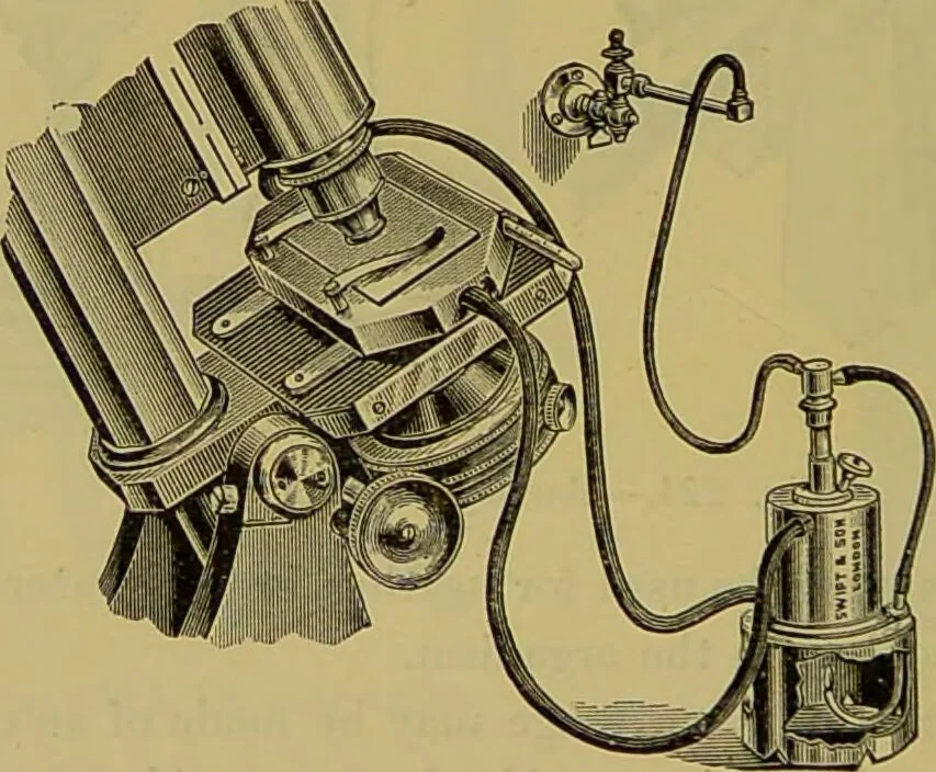 An illustration from The microscope : its history, construction, and application, being a familiar introduction to the use of the instrument, and the study of microscopical science / by Jabez Hogg., 1898, leaf 316