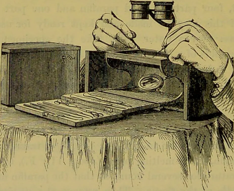 An illustration from The microscope : its history, construction, and application, being a familiar introduction to the use of the instrument, and the study of microscopical science / by Jabez Hogg., 1898, leaf 320