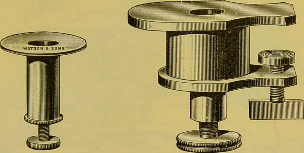 An illustration from The microscope : its history, construction, and application, being a familiar introduction to the use of the instrument, and the study of microscopical science / by Jabez Hogg., 1898, leaf 323