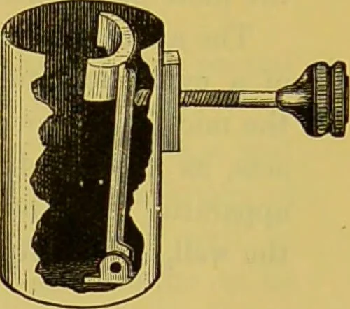 An illustration from The microscope : its history, construction, and application, being a familiar introduction to the use of the instrument, and the study of microscopical science / by Jabez Hogg., 1898, leaf 325
