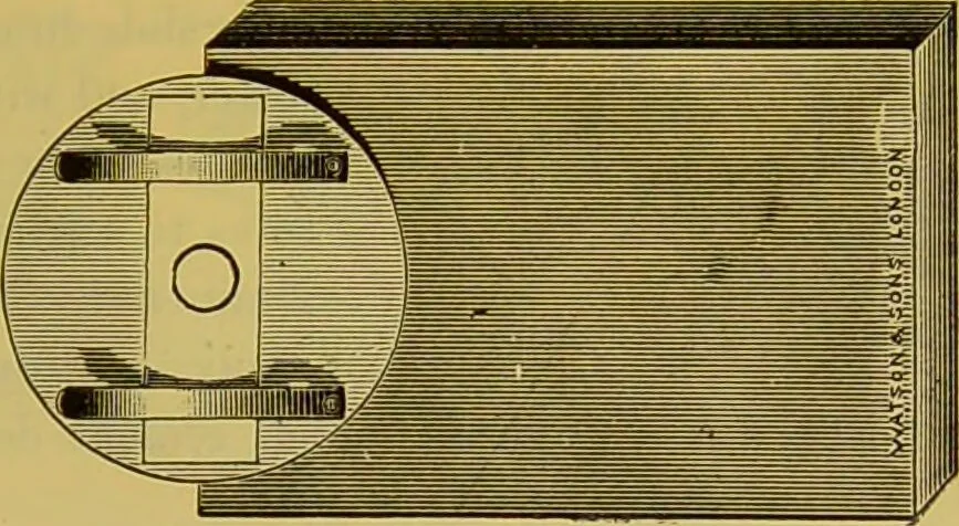 An illustration from The microscope : its history, construction, and application, being a familiar introduction to the use of the instrument, and the study of microscopical science / by Jabez Hogg., 1898, leaf 329