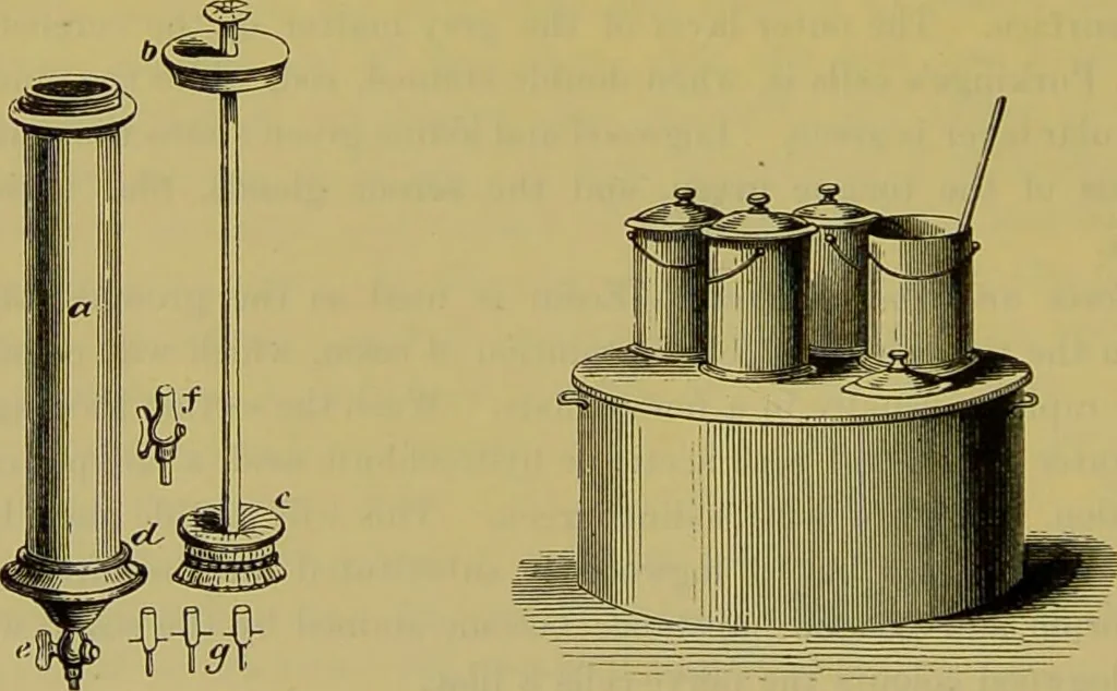 An illustration from The microscope : its history, construction, and application, being a familiar introduction to the use of the instrument, and the study of microscopical science / by Jabez Hogg., 1898, leaf 336