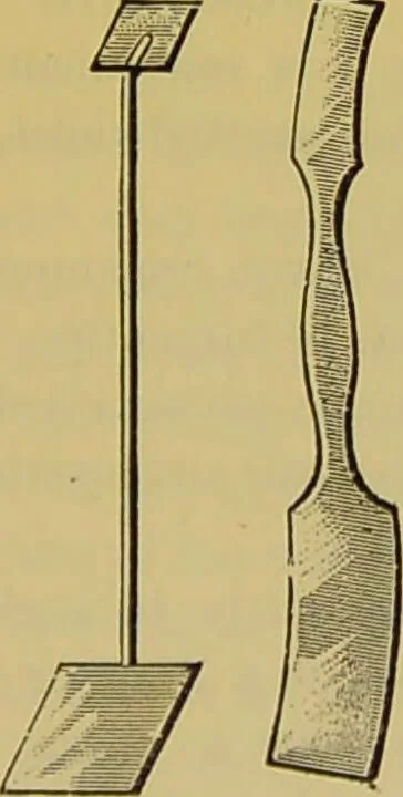 An illustration from The microscope : its history, construction, and application, being a familiar introduction to the use of the instrument, and the study of microscopical science / by Jabez Hogg., 1898, leaf 353