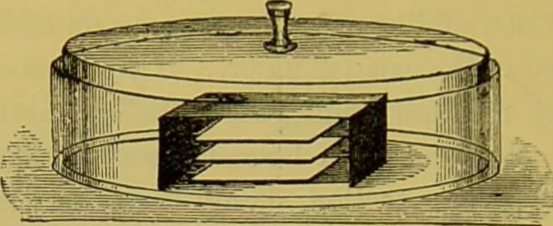 An illustration from The microscope : its history, construction, and application, being a familiar introduction to the use of the instrument, and the study of microscopical science / by Jabez Hogg., 1898, leaf 356