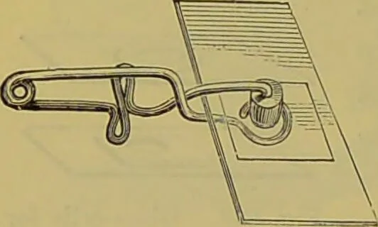 An illustration from The microscope : its history, construction, and application, being a familiar introduction to the use of the instrument, and the study of microscopical science / by Jabez Hogg., 1898, leaf 376