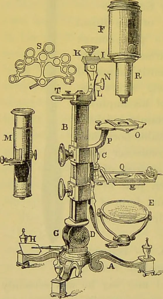 An illustration from The microscope : its history, construction, and application, being a familiar introduction to the use of the instrument, and the study of microscopical science / by Jabez Hogg., 1898, leaf 38
