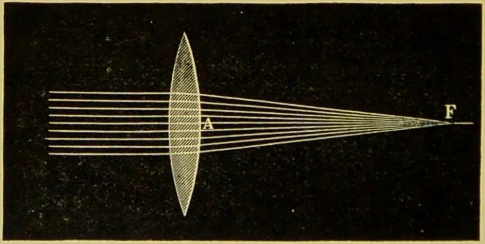 An illustration from The microscope : its history, construction, and application, being a familiar introduction to the use of the instrument, and the study of microscopical science / by Jabez Hogg., 1898, leaf 50