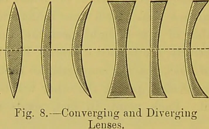 An illustration from The microscope : its history, construction, and application, being a familiar introduction to the use of the instrument, and the study of microscopical science / by Jabez Hogg., 1898, leaf 50