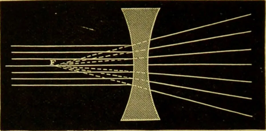 An illustration from The microscope : its history, construction, and application, being a familiar introduction to the use of the instrument, and the study of microscopical science / by Jabez Hogg., 1898, leaf 52