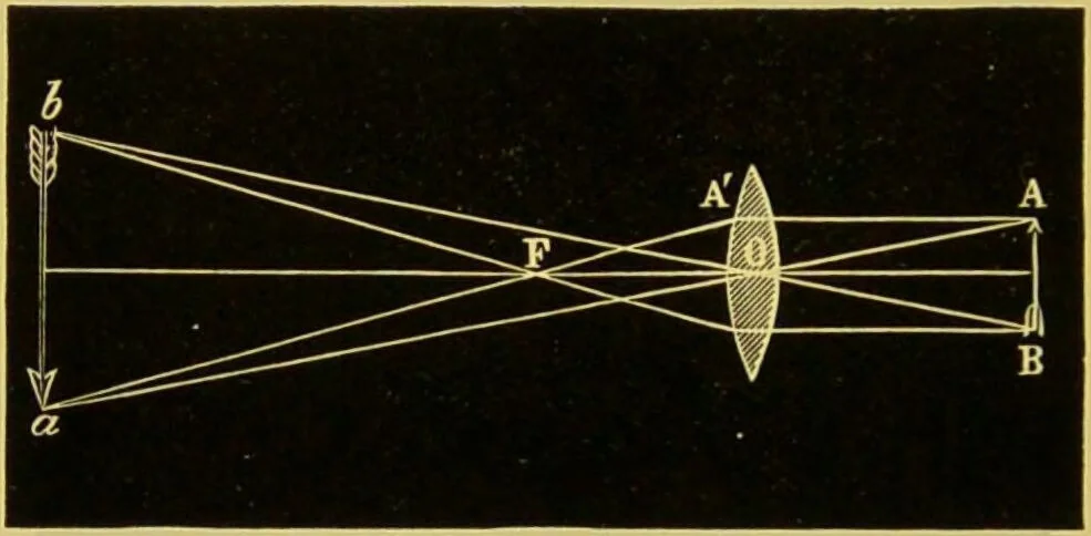 An illustration from The microscope : its history, construction, and application, being a familiar introduction to the use of the instrument, and the study of microscopical science / by Jabez Hogg., 1898, leaf 54
