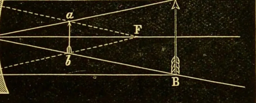 An illustration from The microscope : its history, construction, and application, being a familiar introduction to the use of the instrument, and the study of microscopical science / by Jabez Hogg., 1898, leaf 55